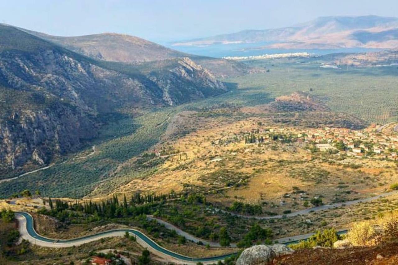 شقة Delphic Horizons المظهر الخارجي الصورة